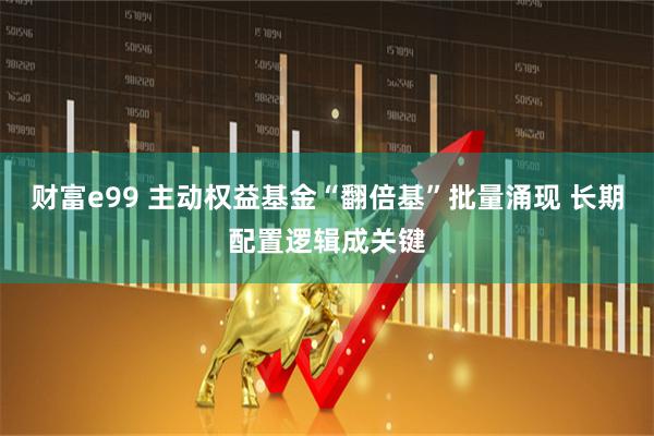 财富e99 主动权益基金“翻倍基”批量涌现 长期配置逻辑成关键