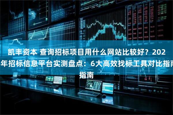 凯丰资本 查询招标项目用什么网站比较好？2026年招标信息平台实测盘点：6大高效找标工具对比指南
