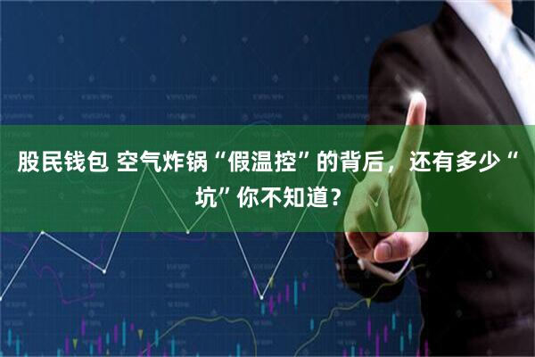 股民钱包 空气炸锅“假温控”的背后,还有多少“坑”你不知道?