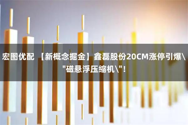宏图优配 【新概念掘金】鑫磊股份20CM涨停引爆＂磁悬浮压缩机＂！